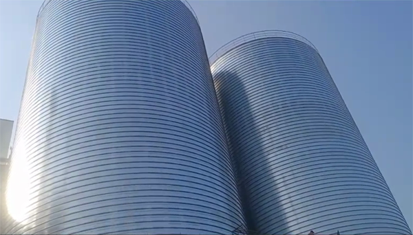 饶阳2座混凝土高架卷板仓